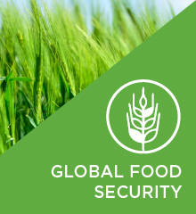 Global Food Security header