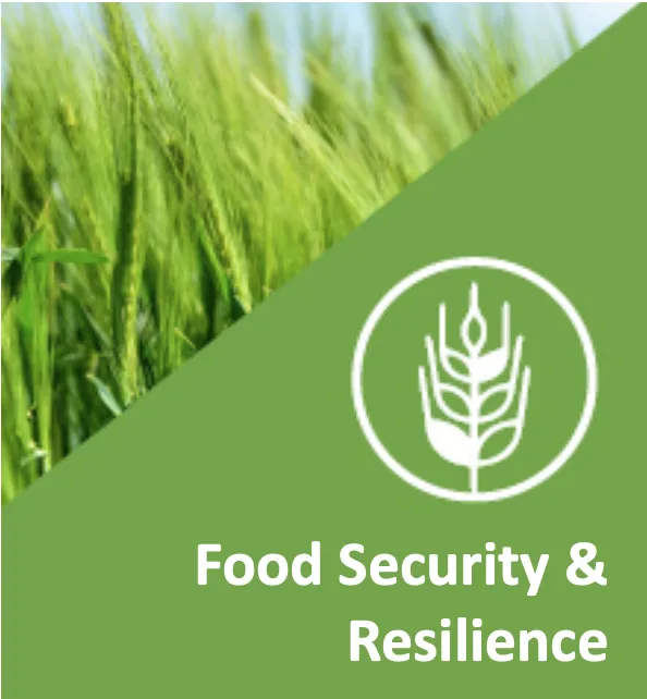 Food Security & Resilience